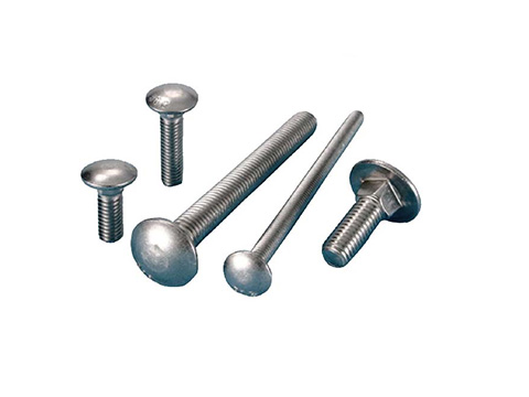 carriage bolt