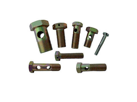 Oil pipe screw